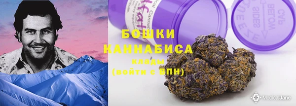 спайс Баксан