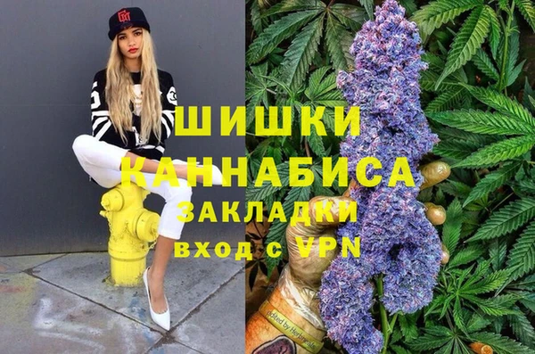 спайс Баксан