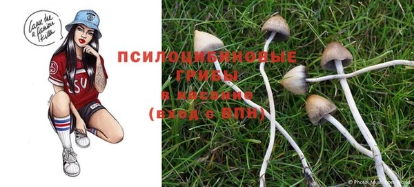 спайс Баксан