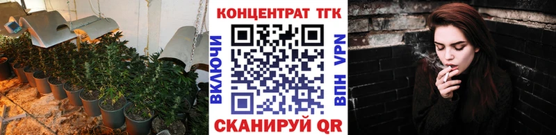 ТГК Wax  Белово 